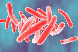 Что такое туберкулез